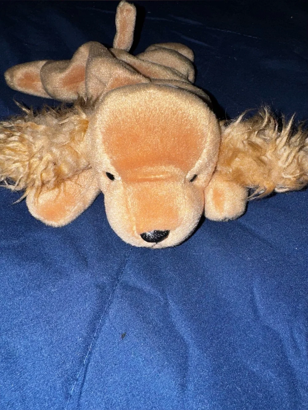 Ty Beanie Baby Spunky The Cocker Spaniel 1997 Retired